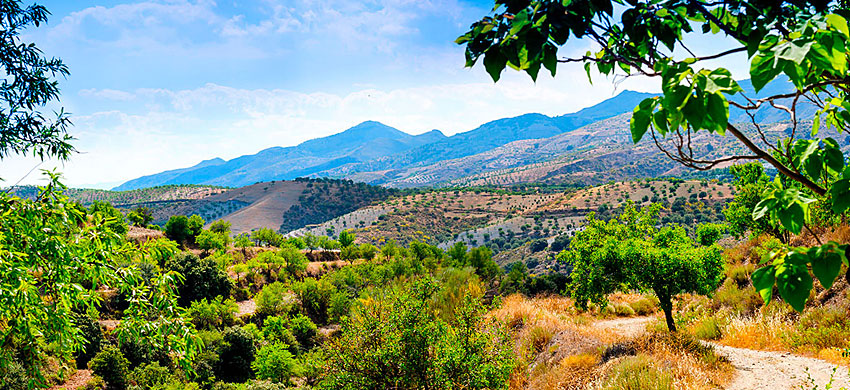 Cosa visitare nei dintorni di Granada